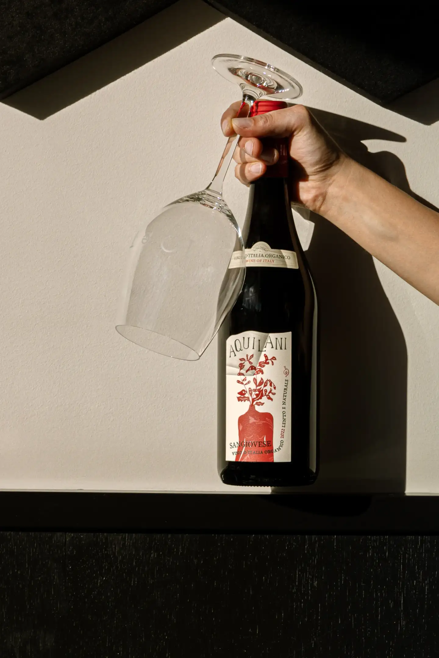 Hand holding a wine bottle in a creative product campaign composition.
