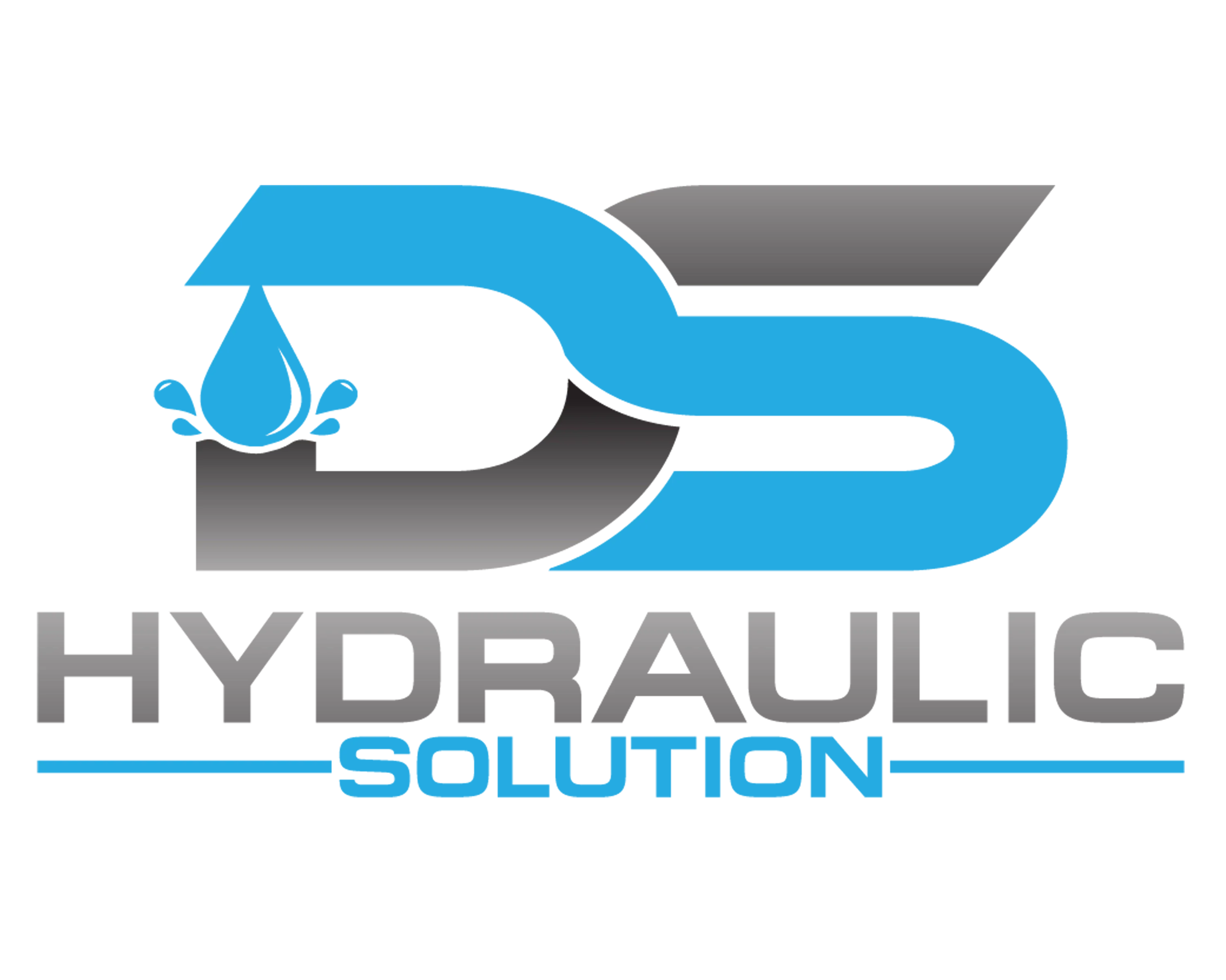 DS Hydraulic Solution Perth logo