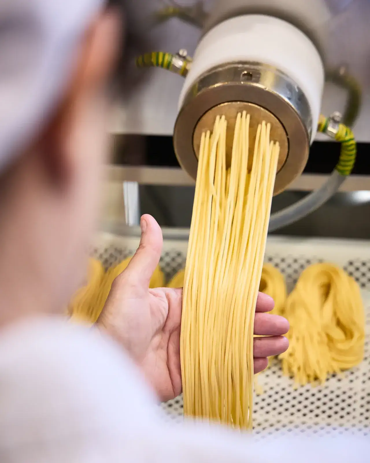 La Delizia Lab pasta maker drawing freshly extruded spaghetti from the machine, with nests of fresh pasta drying alongside
