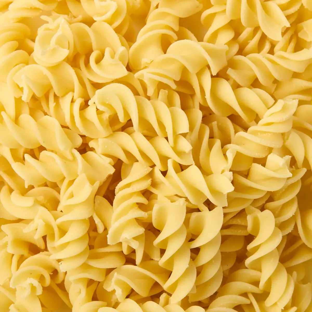 Overhead close-up of fresh La Delizia Lab fusilli spirals showing the bronze-die texture of the pasta