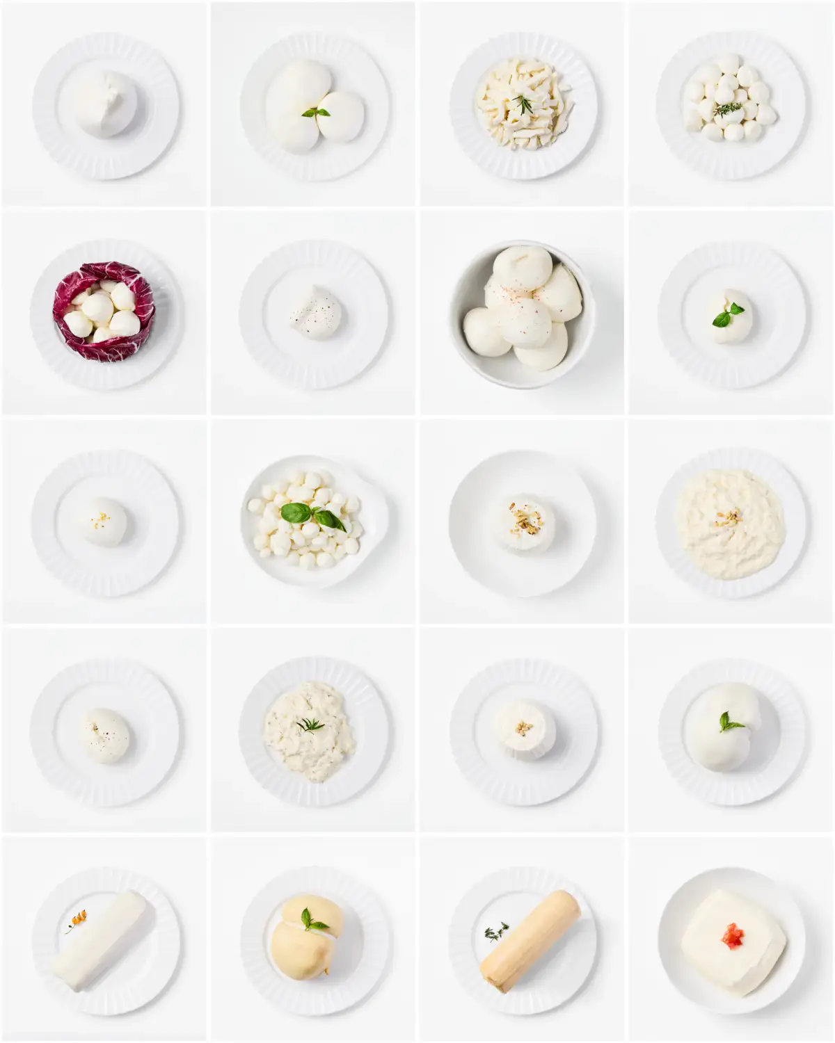 White-background product collage showing the La Delizia Latticini fresh cheese range plated individually