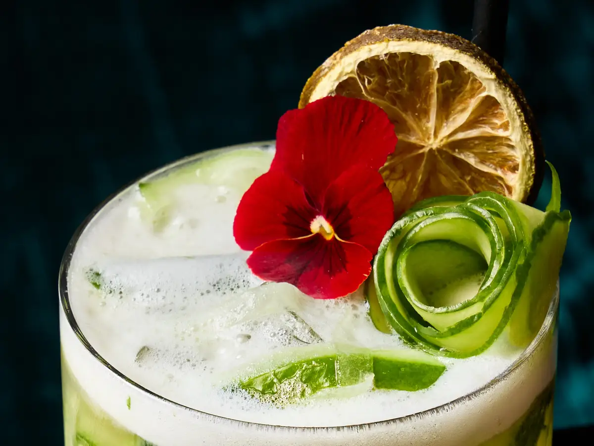 Green cucumber and lime cocktail at T.O.T.O Bar with foam, flower garnish, and dehydrated citrus